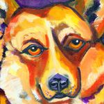 Corgi